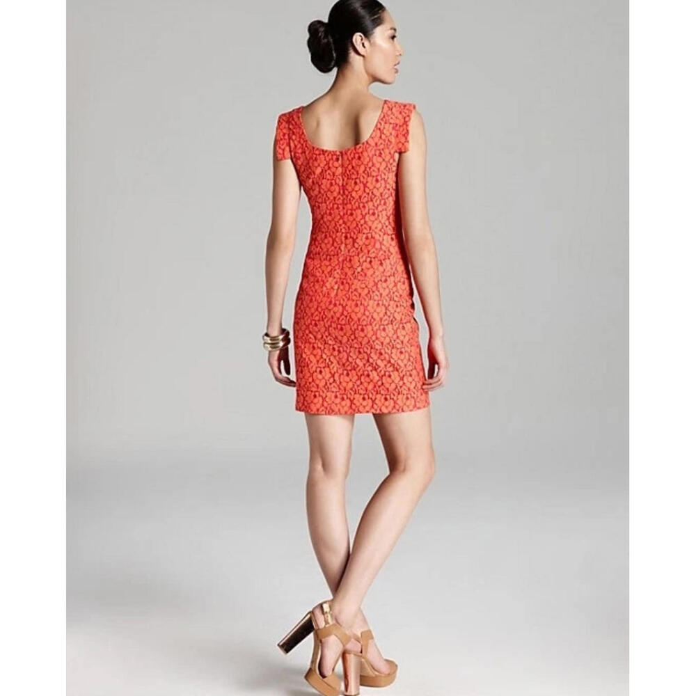 Black Halo Jackie-O Orange Lace Cotton Raschel Knee Length Sheath Dress - Size 6 - Picture 4 of 9
